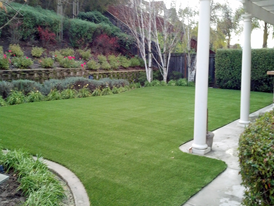Artificial Turf Cost Lost Hills California Dog Pound Backyard