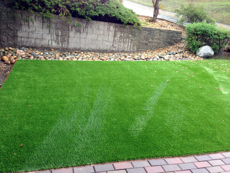 Grass Installation Casmalia California Dog Parks Backyard