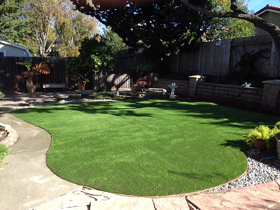 Gr Turf Bellflower California Lawn And Garden Backyard Gr Turf Bellflower California Lawn And Garden Backyard