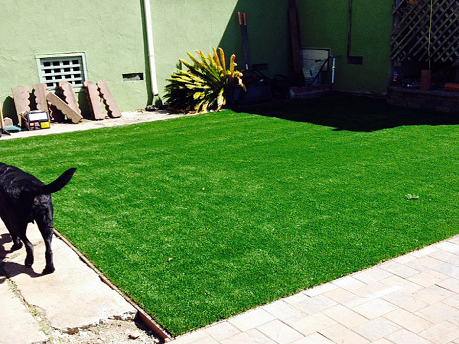 Lawn Services Hawthorne California Hotel For Dogs Backyard
