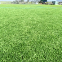 Artificial Lawn Orcutt, California Softball