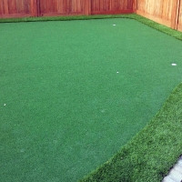 Artificial Turf Oak Park, California Indoor Putting Greens, Backyard Designs