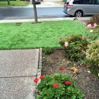 Fake Grass Beverly Hills, California Hotel For Dogs, Front Yard Landscape Ideas