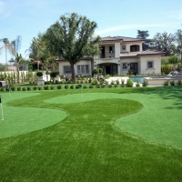 Fake Grass Carpet Agoura Hills, California Indoor Putting Green, Front Yard Landscaping