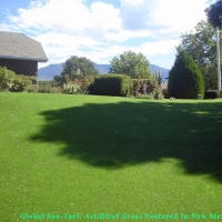 Fake Grass Channel Islands Beach, California Cat Grass, Backyard Design