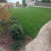 Fake Turf Sherman Oaks, California Dog Park, Small Backyard Ideas