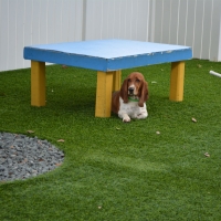 Faux Grass Anaheim, California Dog Park, Dogs Park