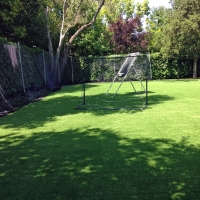 Grass Carpet Channel Islands Beach, California Garden Ideas, Backyard Landscaping