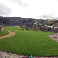 Grass Installation Pismo Beach, California Landscape Photos