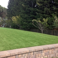 Green Lawn Bellflower, California How To Build A Putting Green, Small Backyard Ideas