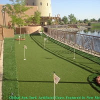 Green Lawn Saticoy, California Home Putting Green, Backyard Landscape Ideas