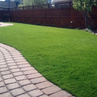 Outdoor Carpet Manhattan Beach, California Pet Grass, Backyard Landscaping Ideas