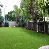 Synthetic Grass Pasadena, California Backyard Deck Ideas, Backyard