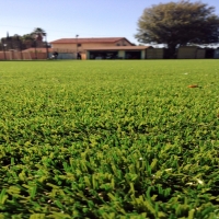 Synthetic Grass Piru, California Landscape Design