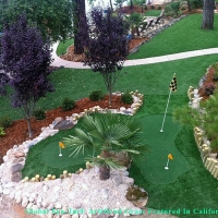 Synthetic Grass Ventura, California Backyard Playground, Backyard Landscape Ideas