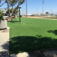 Synthetic Lawn Orange, California Roof Top, Parks