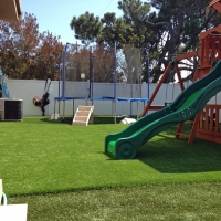 Turf Grass Littlerock, California Rooftop, Backyard Landscaping Ideas