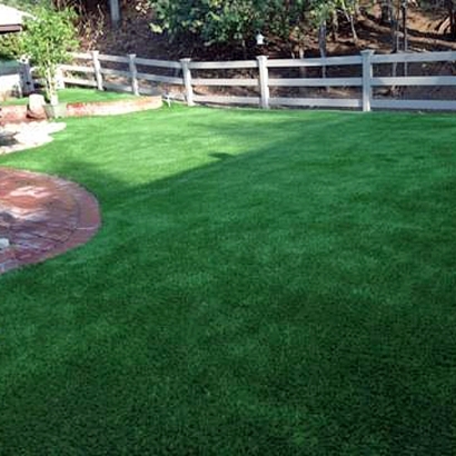 Artificial Grass Carpet Chatsworth, California Pet Turf, Backyard Designs