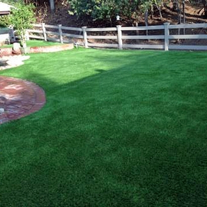 Artificial Grass Carpet Chatsworth, California Pet Turf, Backyard Designs