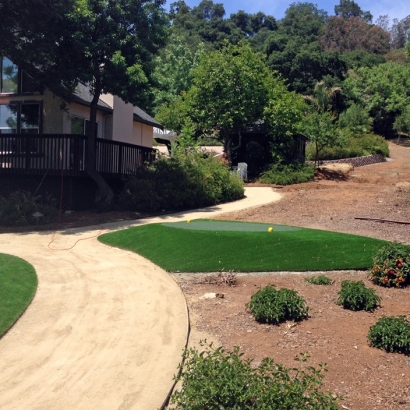 Artificial Grass Carpet Redondo Beach, California Home And Garden, Front Yard Design