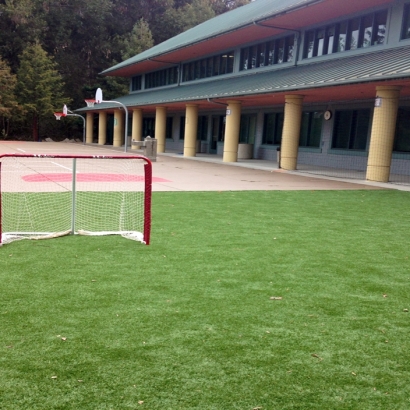 Artificial Grass Frazier Park, California High School Sports, Commercial Landscape