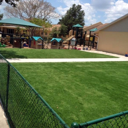 Artificial Grass Installation Culver City, California Home And Garden, Commercial Landscape