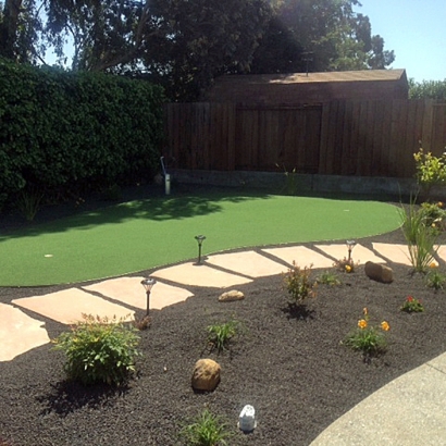 Artificial Grass Newport Beach, California Roof Top, Beautiful Backyards