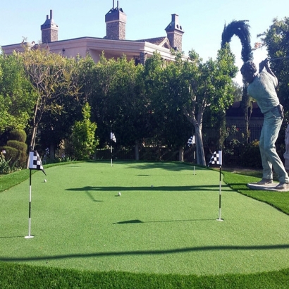 Artificial Lawn Alondra Park, California Indoor Putting Green, Backyard Landscaping Ideas