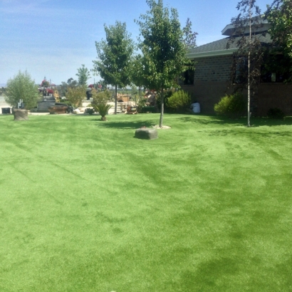 Artificial Lawn Cudahy, California Design Ideas, Recreational Areas