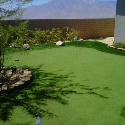 Artificial Lawn Fillmore, California Landscaping, Backyard Garden Ideas