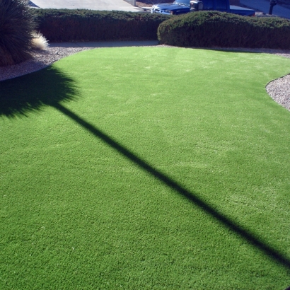 Artificial Lawn Oildale, California Lawn And Landscape, Front Yard