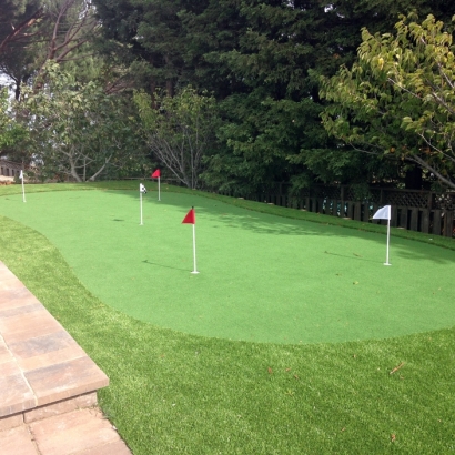 Artificial Lawn Paramount, California Outdoor Putting Green, Backyard Design