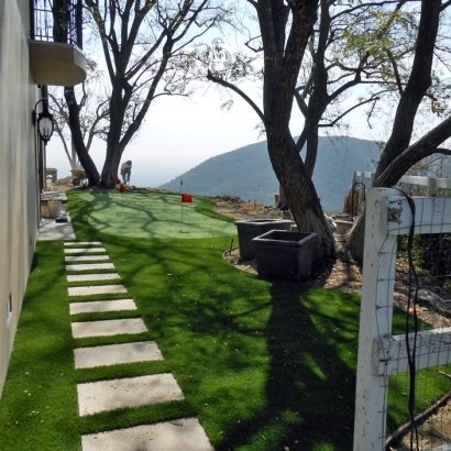 Artificial Lawn San Gabriel, California Best Indoor Putting Green, Backyard Landscaping
