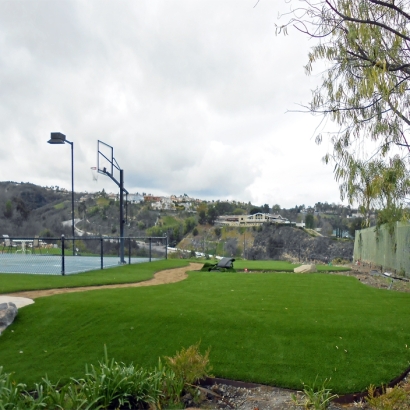 Artificial Turf Agua Dulce, California Landscaping Business, Commercial Landscape