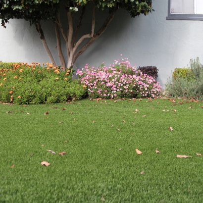 Artificial Turf Cost Avocado Heights, California Roof Top, Front Yard Landscaping Ideas
