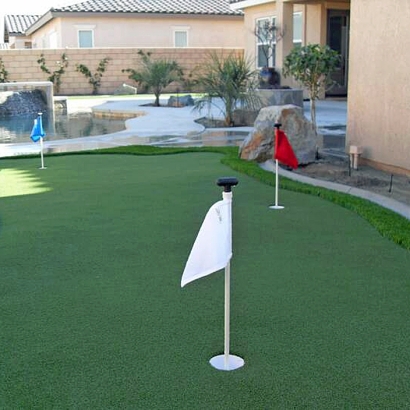 Artificial Turf Cost Bell Gardens, California Rooftop, Backyard Landscaping Ideas