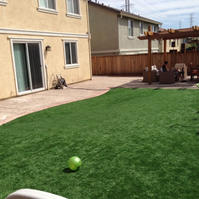 Artificial Turf Cost La Verne, California Playground, Backyard Makeover