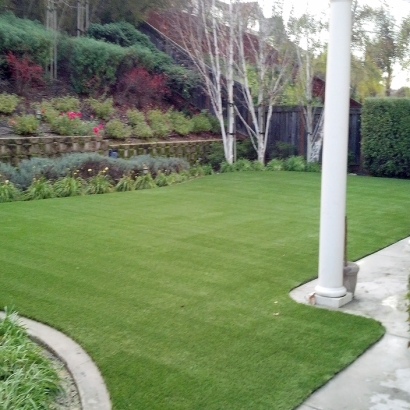 Artificial Turf Cost Lost Hills, California Dog Pound, Backyard Landscaping Ideas