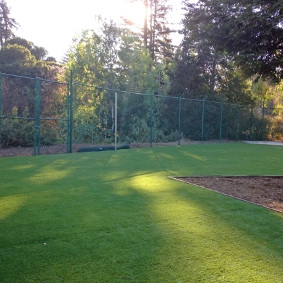 Artificial Turf Fillmore, California Rooftop, Recreational Areas