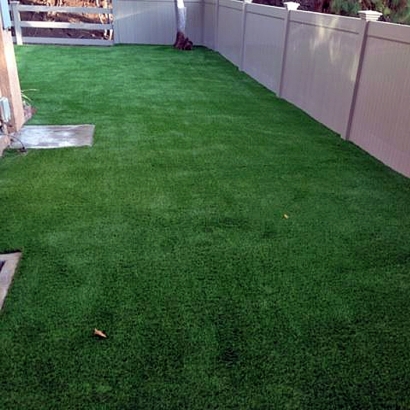 Artificial Turf Green Valley, California Pictures Of Dogs, Beautiful Backyards