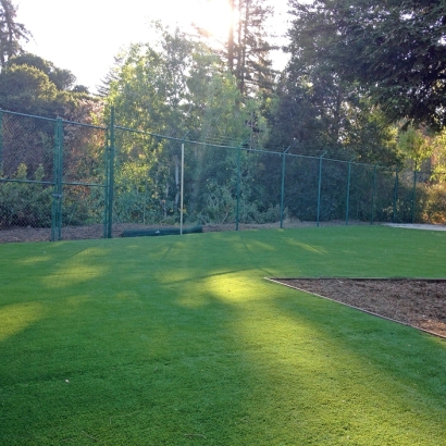 Artificial Turf Installation Orcutt, California Landscape Ideas, Recreational Areas