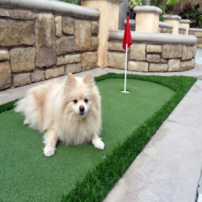 Artificial Turf Installation South El Monte, California Cat Playground, Backyard Landscaping