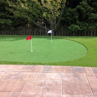 Artificial Turf Temple City, California Indoor Putting Greens, Backyard Landscaping Ideas