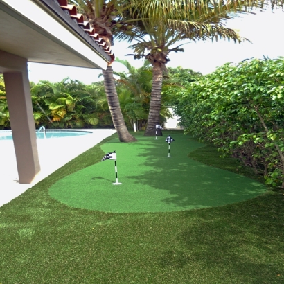 Best Artificial Grass Fountain Valley, California Indoor Putting Green, Backyard Makeover