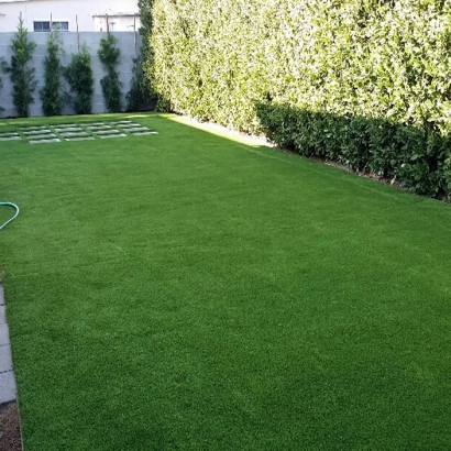 Best Artificial Grass Lomita, California Fake Grass For Dogs, Backyard Ideas