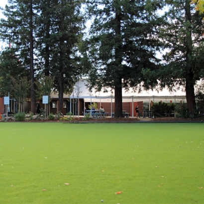 Best Artificial Grass Pine Mountain Club, California City Landscape, Parks