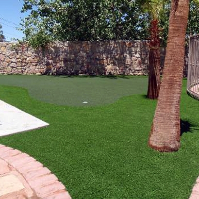 Best Artificial Grass Taft Heights, California Putting Green, Small Backyard Ideas