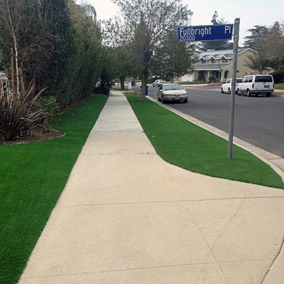 Fake Grass Carpet Agoura, California Lawn And Landscape, Front Yard Design
