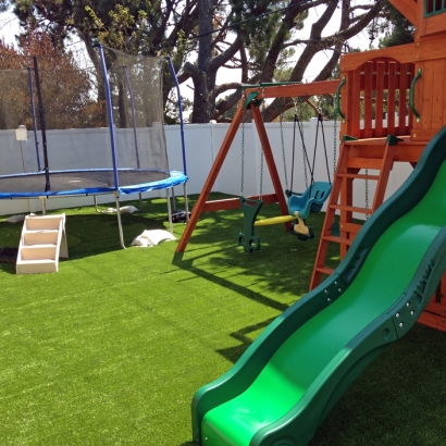 Fake Grass Carpet Hermosa Beach, California Landscape Ideas, Backyard Garden Ideas