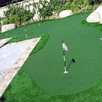 Fake Grass Carpet Mettler, California Golf Green, Backyard Makeover